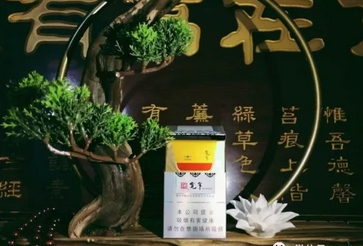 长城云霄香烟-长城烟多少钱